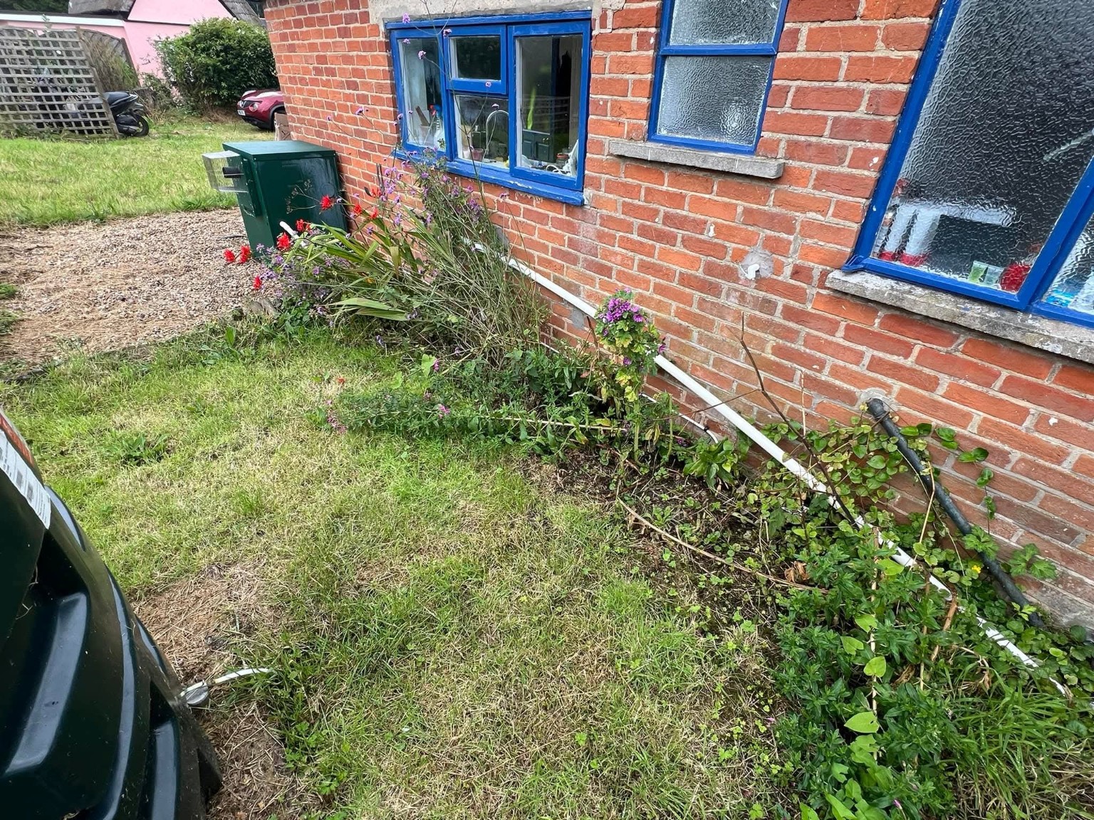 Plants and weeds along a brick house wall