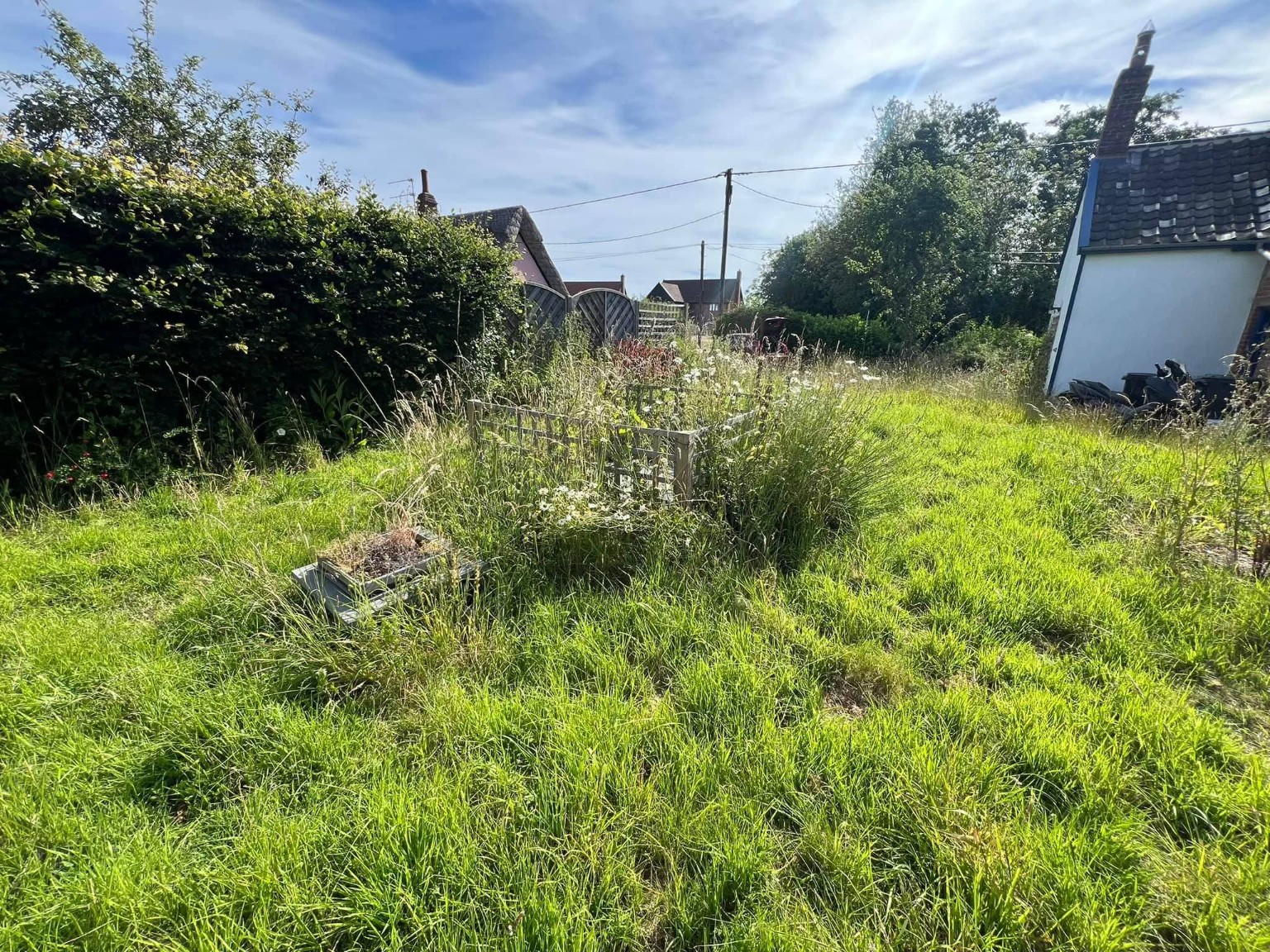 Overgrown lawn around a timber garden enclosure